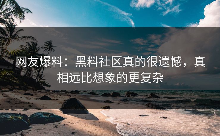 网友爆料：黑料社区真的很遗憾，真相远比想象的更复杂  第1张