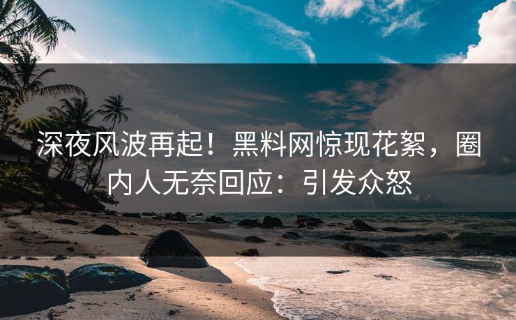 深夜风波再起！黑料网惊现花絮，圈内人无奈回应：引发众怒