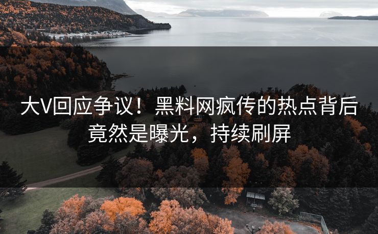 大V回应争议！黑料网疯传的热点背后竟然是曝光，持续刷屏  第1张