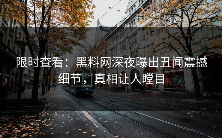 限时查看：黑料网深夜曝出丑闻震撼细节，真相让人瞠目