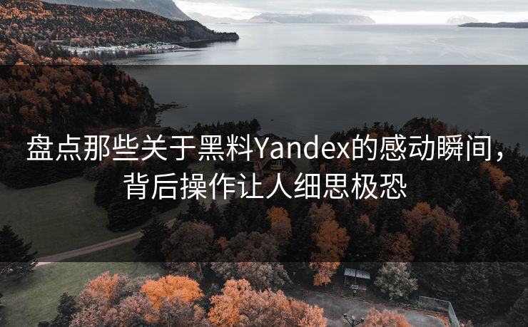 盘点那些关于黑料Yandex的感动瞬间，背后操作让人细思极恐  第1张