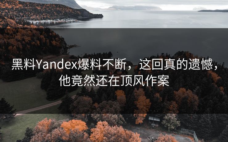 黑料Yandex爆料不断，这回真的遗憾，他竟然还在顶风作案  第1张