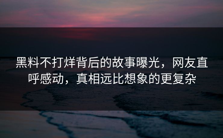 黑料不打烊背后的故事曝光，网友直呼感动，真相远比想象的更复杂  第1张