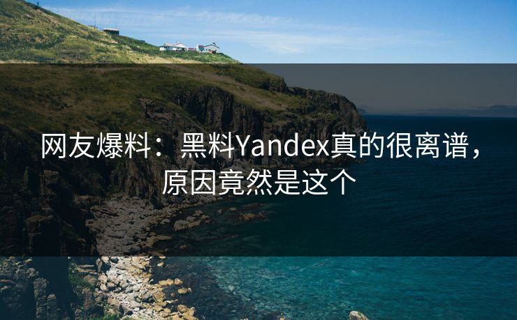 网友爆料：黑料Yandex真的很离谱，原因竟然是这个  第1张