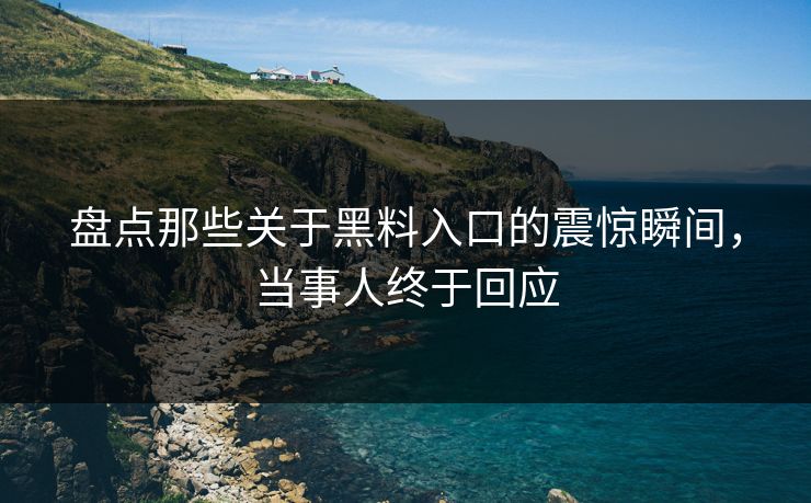 盘点那些关于黑料入口的震惊瞬间，当事人终于回应  第1张
