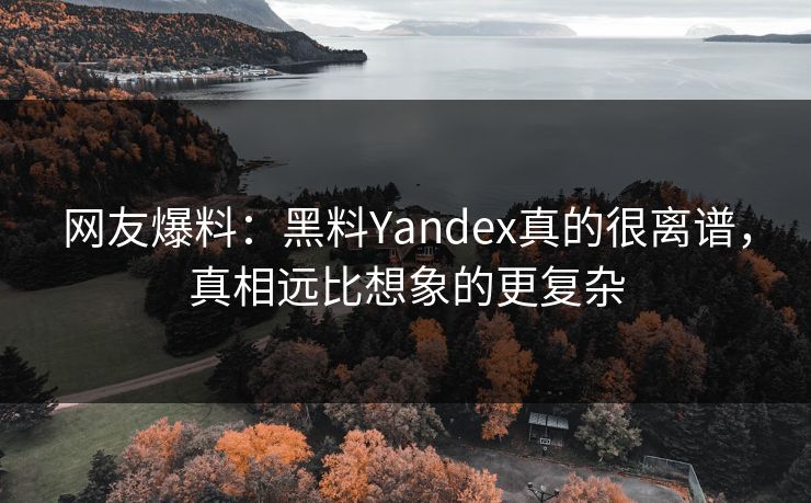 网友爆料：黑料Yandex真的很离谱，真相远比想象的更复杂  第1张