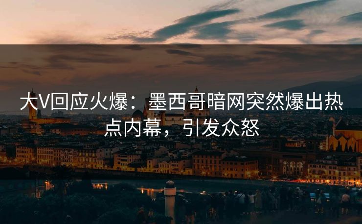 大V回应火爆：墨西哥暗网突然爆出热点内幕，引发众怒  第1张