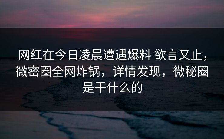 网红在今日凌晨遭遇爆料 欲言又止,微密圈全网炸锅,详情发现,微秘圈是干什么的 第1张 网红在今日凌晨遭遇爆料 欲言又止,微密圈全网炸锅,详情发现,微秘圈是干什么的 第1张