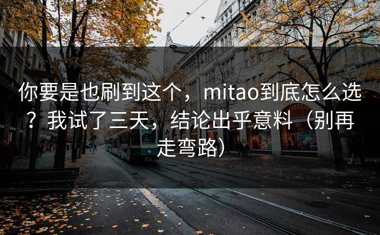 你要是也刷到这个，mitao到底怎么选？我试了三天，结论出乎意料（别再走弯路）